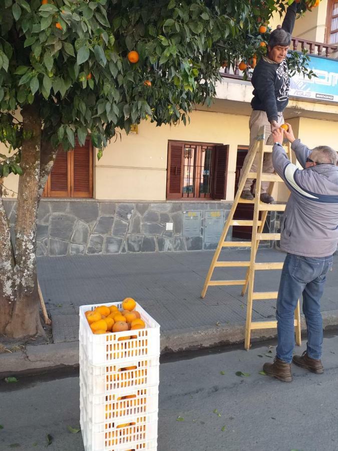 La Francisca Apartment San Salvador de Jujuy Ngoại thất bức ảnh